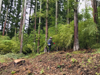 山想2020